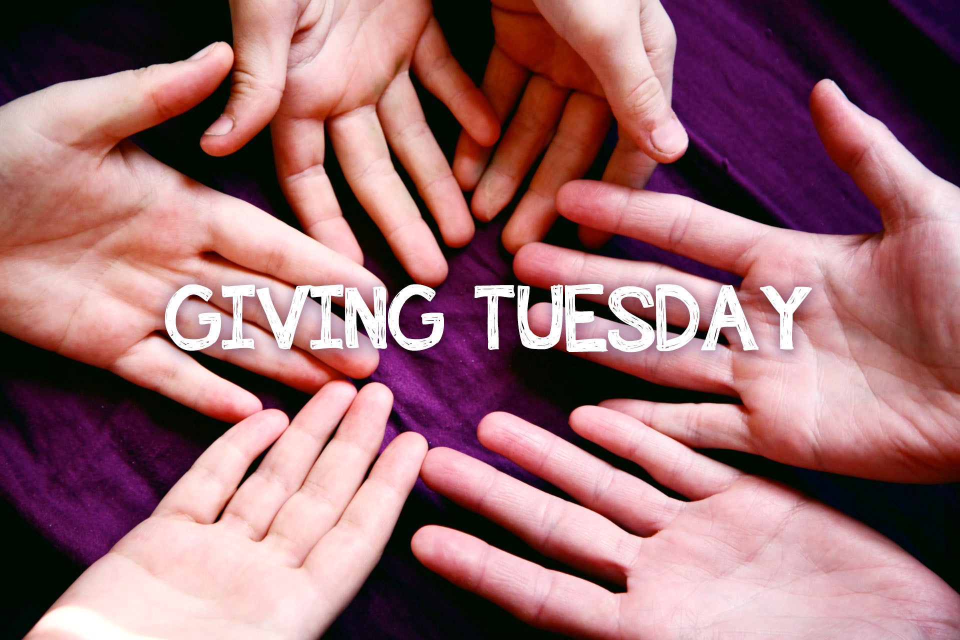 Seven Organizations to Support This GivingTuesday