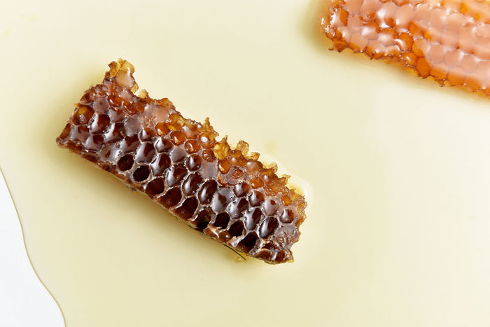 The Amazing Health Benefits of Beehive Honey
