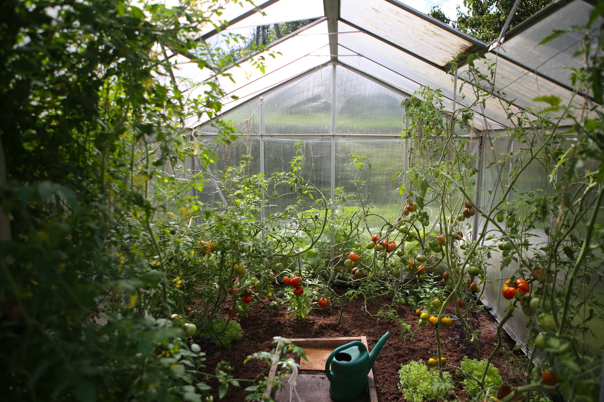 5 Incredible Benefits of Sustainable Gardening